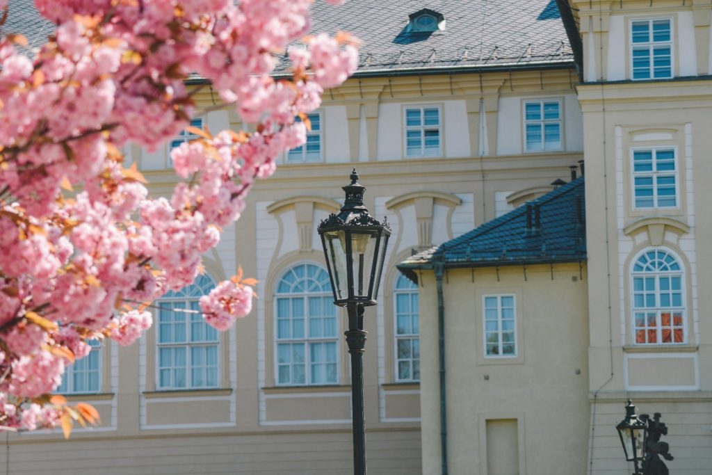 Prague Castle & Old Town